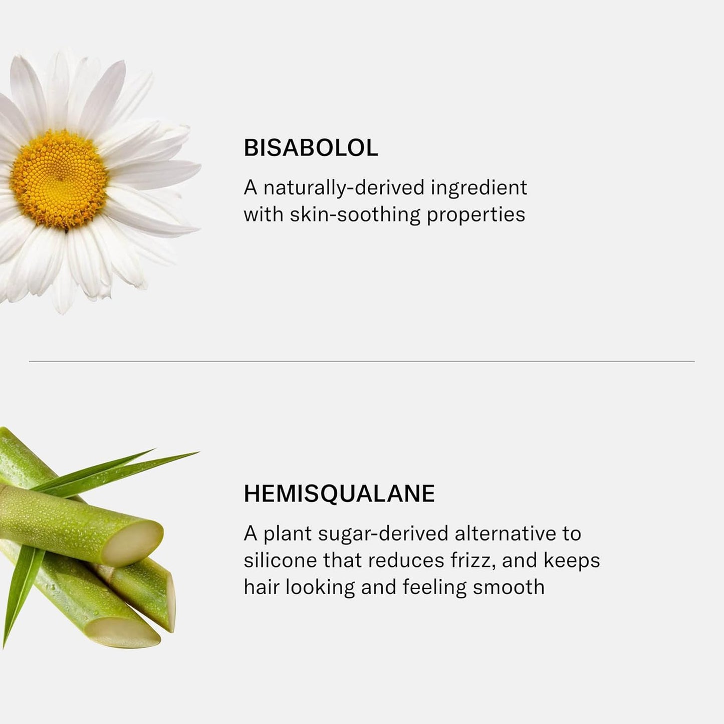 SEEN Conditioner - Non-Comedogenic Hair Care for Sensitive, Eczema & Acne-Prone Skin - Dermatologist-Developed