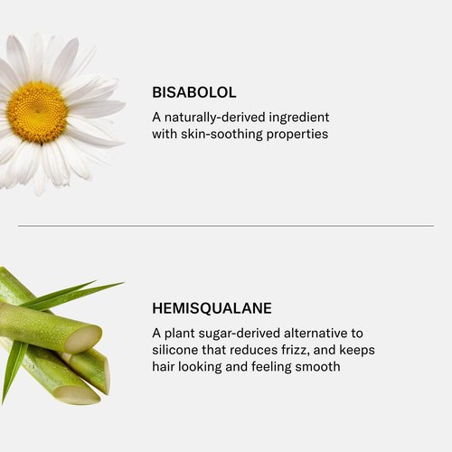 SEEN Conditioner, Fragrance Free - Non-Comedogenic Hair Conditioner - Dermatologist-Developed - Safe for Sensitive, Eczema & Acne Prone Skin