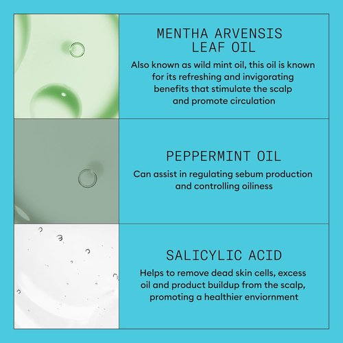 Nioxin System 3 Scalp & Hair Thickening Shampoo - Nourish Colored & Damaged Hair | Niacinamide & Biotin