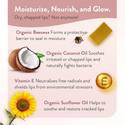 Moroccan Magic Organic Coconut Lip Balm 3-Pack - Ultra-Hydrating with Argan Oil & Vitamin E | Natural Moisturizer for Dry Lips