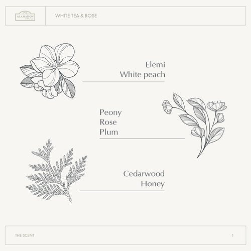 A LA MAISON Cleansing Shower Oil - Nourishing White Tea & Rose Formula for Soft Skin