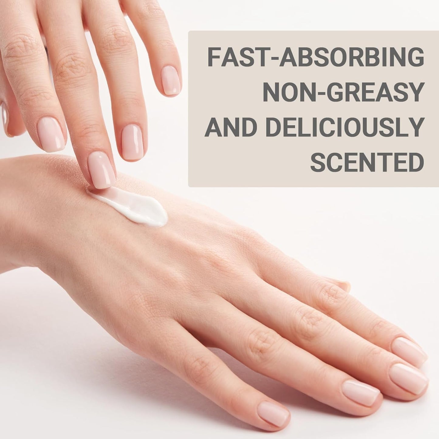Vitamin B5 Hand Cream - Fast-Absorbing & Non-Greasy Formula for Deep Hydration | 6-Pack, Vegan & Cruelty-Free (1 fl oz)