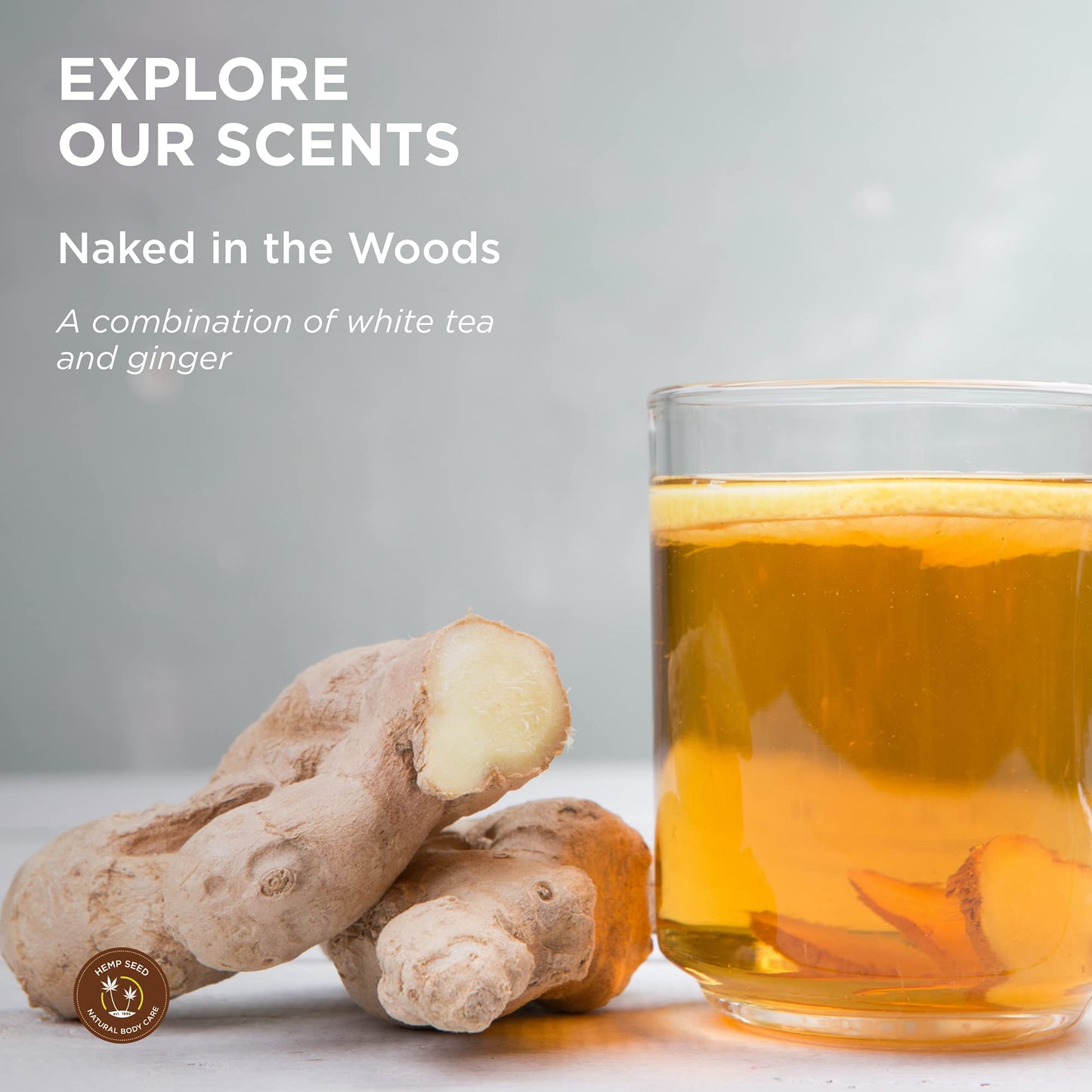 Hemp Seed Hair Care Shampoo, Naked in the Woods - 8 oz - Moisturizes Hair, Cleans & Soothes Scalp - Sulfate-Free Formula with Hemp Seed Oil & Coconut Oil - Vegan, Cruelty Free