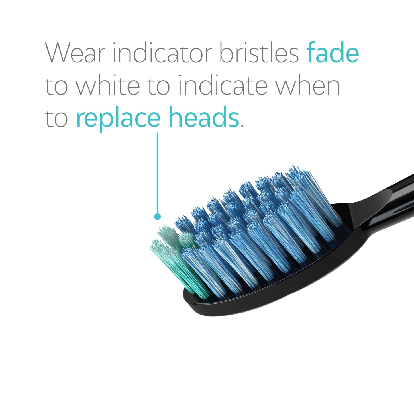 TAO Clean Daily Care Whitening Replacements Heads - Black - 2 Pack