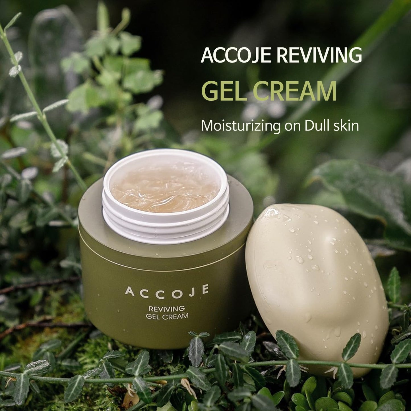ACCOJE Reviving Gel Cream - Hydrating Moisturizer for Sensitive Skin | Soothes Redness with Jeju Extracts, 1.69 fl oz