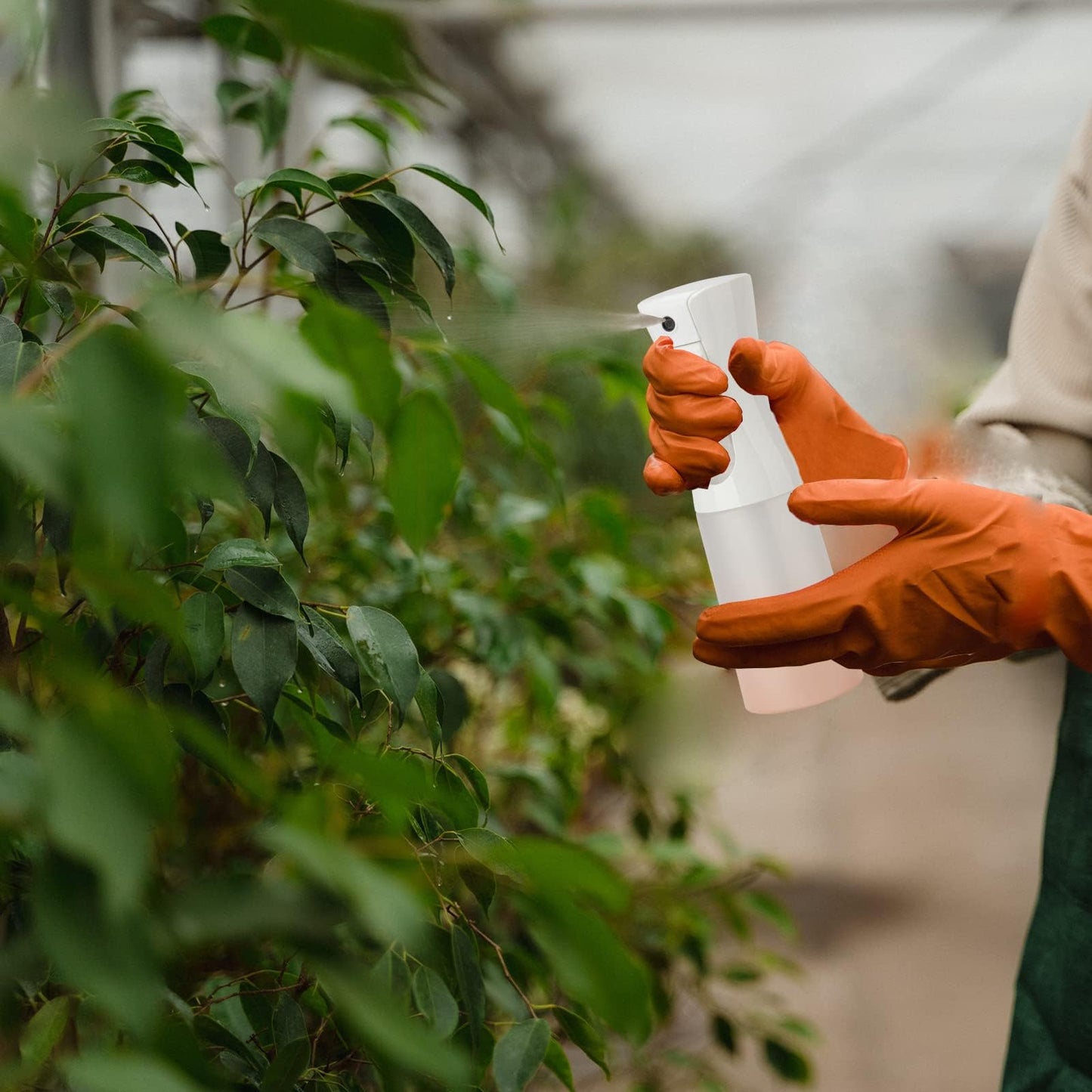 Zuhose Continuous Mist Spray Bottle, 6.8OZ /200ML Hair Mister, Fine Mist Water Spray for Salons, Barber, Plants, Skin Care, Cleaning (Matte Pink, 1 Pack)