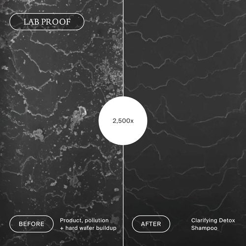 Living Proof Clarifying Detox Shampoo - Deep Cleanse & Purify Hair | 8 oz