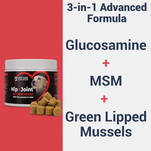 Advanced Dog Hip and Joint Supplement by 3-in-1 - Tasty Glucosamine Chews for All Breeds & Seniors - Chicken Flavor