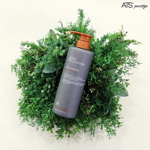 ATS Perstige Bresh Shampoo - 600ML | Silicone-Free Formula for Oily Scalp Soothing