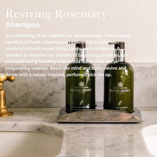 Molton Brown Reviving Rosemary Shampoo - Nourishing Formula for Vibrant Hair | 10 Fl. Oz.