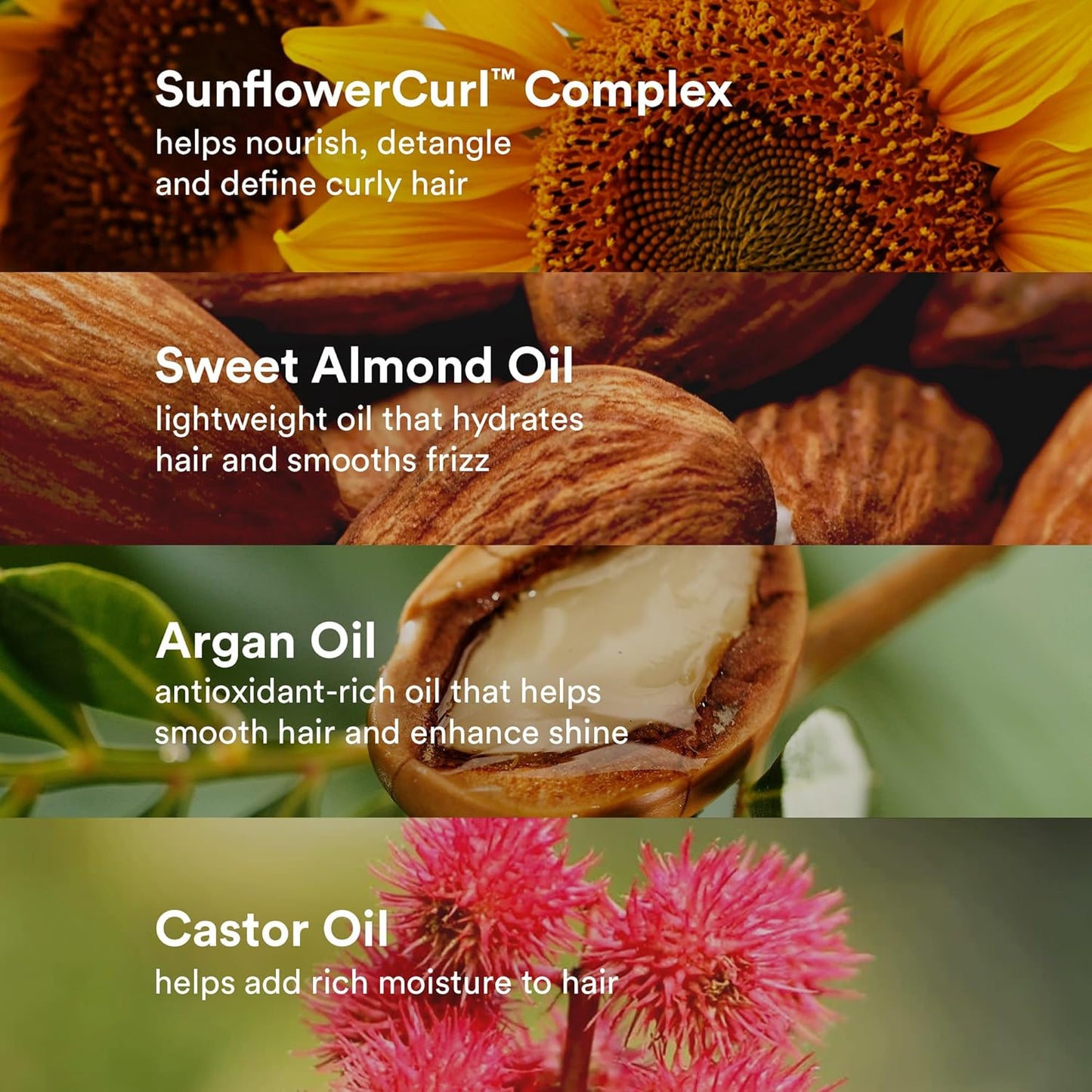 VERB Curl Oil - Define + Shine + Smooth Frizz - for All Curl Types -Silicone Free + No Parabens, Gluten or Harmful Sulfates