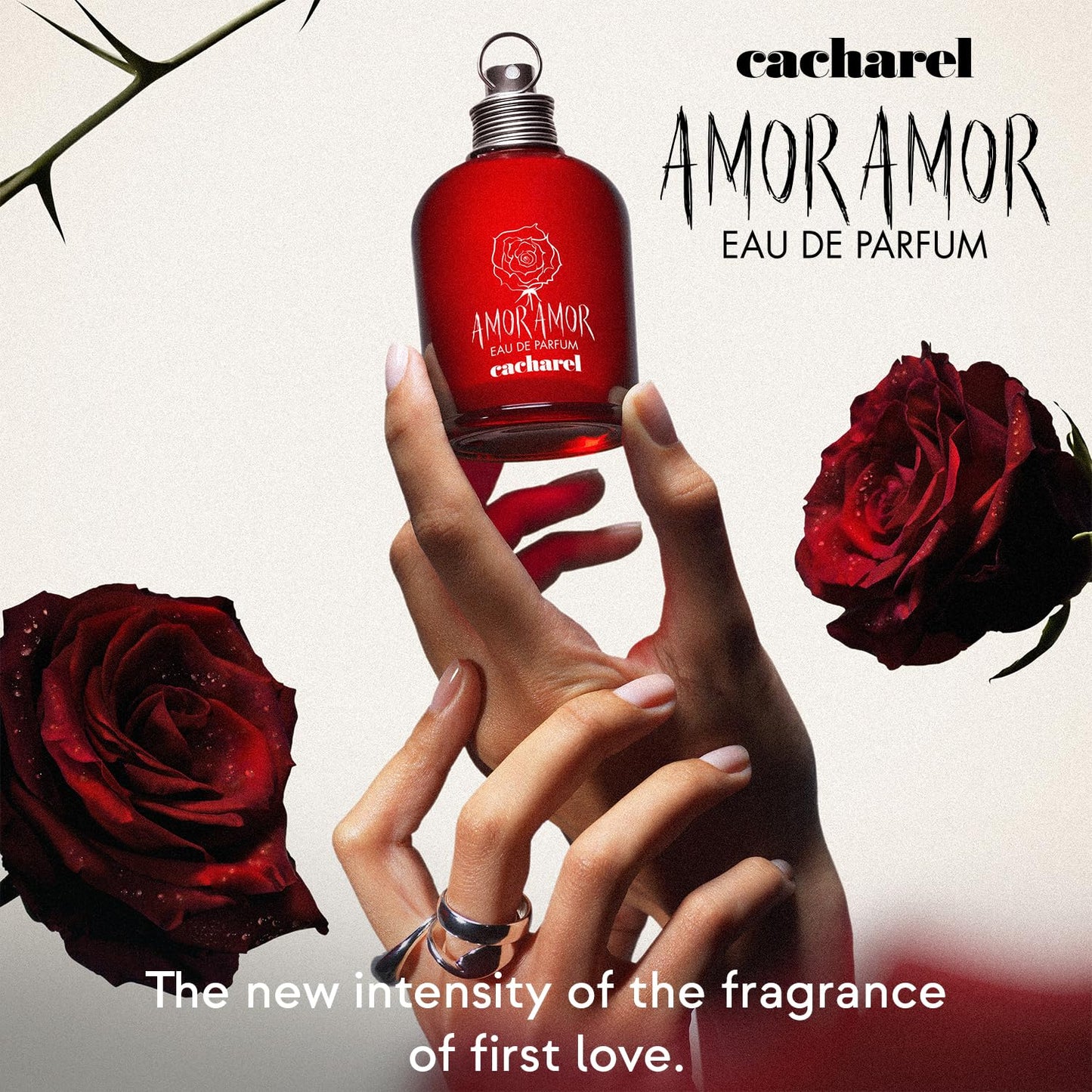 Cacharel Amor Amor Eau de Parfum Spray - Floral Fruity Chypre Fragrance with Bergamot, Rose & Cedar Notes