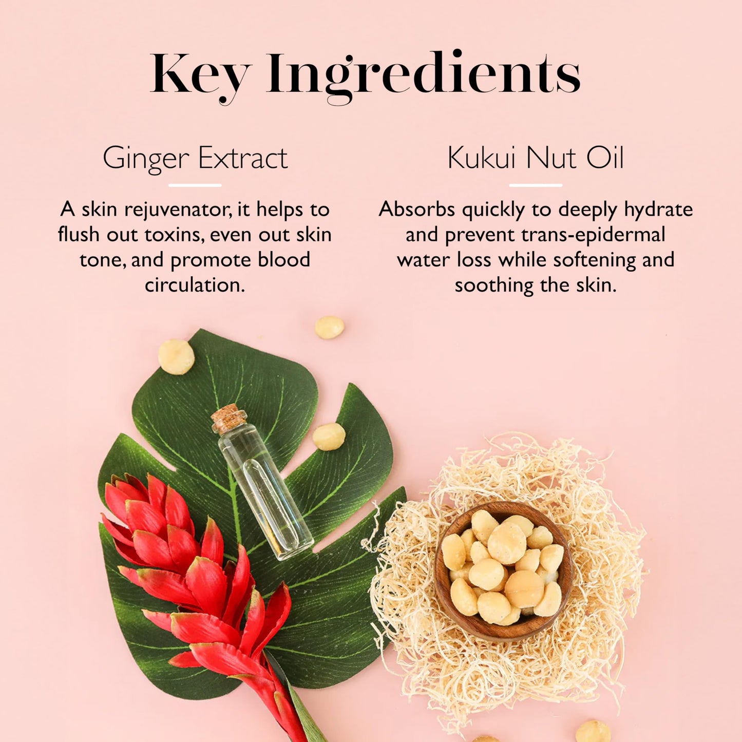 Spongellé White Ginger Hawaiian Buffer | Body Wash Infused Sponge with Awapuhi & Kukui Nut Oil | Exfoliates & Hydrates | 14+ Uses