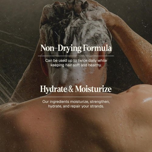 Black Wolf Men's Shampoo - Charcoal-Infused Oil Control for Oily Hair, 12 Fl Oz | Hydrates & Nourishes Scalp