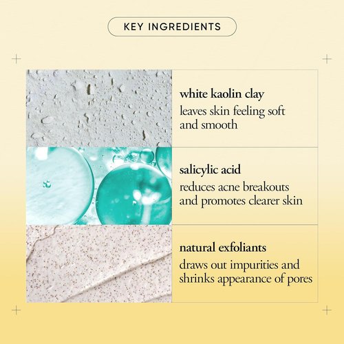 Philosophy Purity Made Simple Pore Extractor Clay Face Mask - Purifying White Kaolin Clay & Salicylic Acid for Clearer Skin