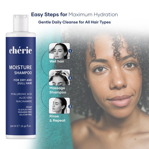 Moisturizing Shampoo with Hyaluronic Acid, Aloe Vera & Niacinamide, Hair Shampoo for Dry Hair, Non-Sulfate, Non-Paraben & Non-Silicone, For Women And Men, 16.90 oz, Champú Hidratante para Cabello Seco