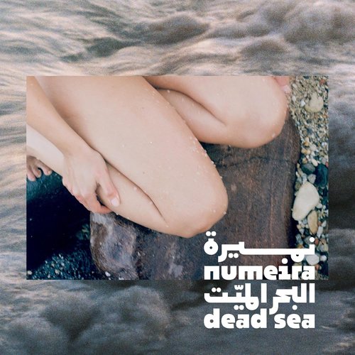 Dead Sea Salts - Relaxing Bath Soak for Body Rejuvenation with Lavender Essential Oil | 8.82 oz