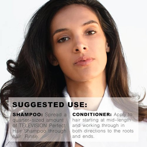 R+Co Television Perfect Hair Shampoo & Conditioner Travel Set - Smooth, Shine & Volume - Sulfate-Free & Vegan - TSA Approved - 2oz (Pack of 2)