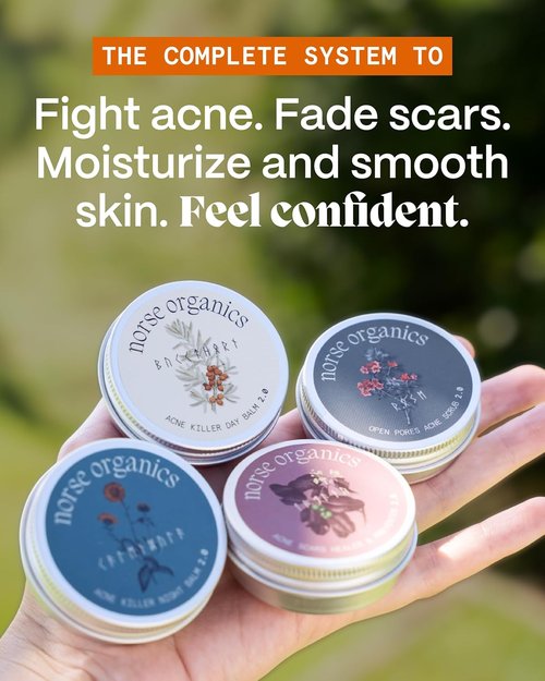 Norse Organics | Complete Pimple Control System 2.0 | 4-Step Skincare Kit with Arctic Herbs | Includes Day & Night Balms, Scar Balm, Face Scrub | All Skin Types (4 Pcs)
