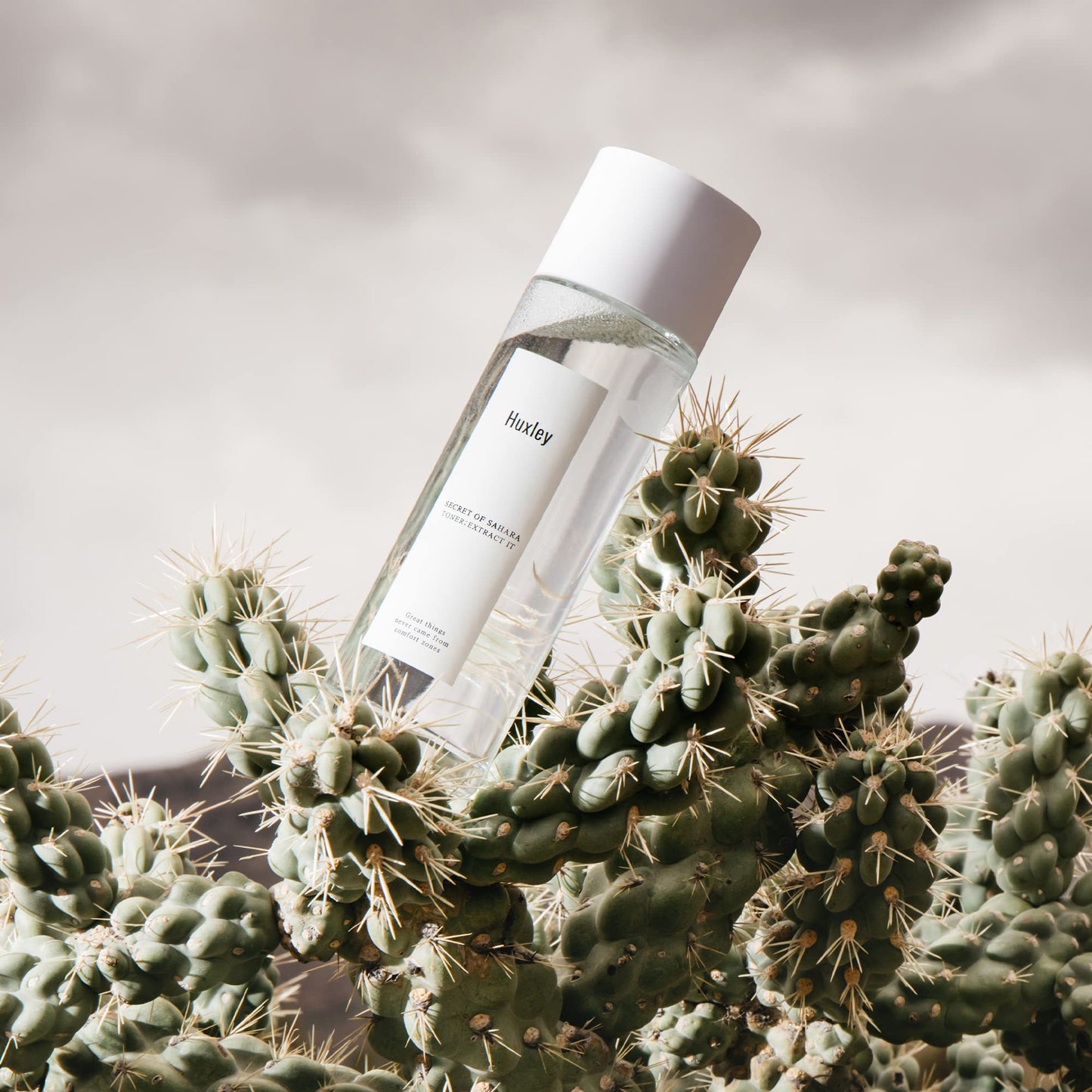 Huxley Secret of Sahara Toner Extract It 4.06 fl. oz. | Korean Skin Care | pH Balancing Toning Water refreshes and hydrates Skin