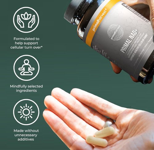 Primal Harvest NAD+ Supplement - Cellular Health & Energy Boost with Nicotinamide Riboside | 60 Capsules