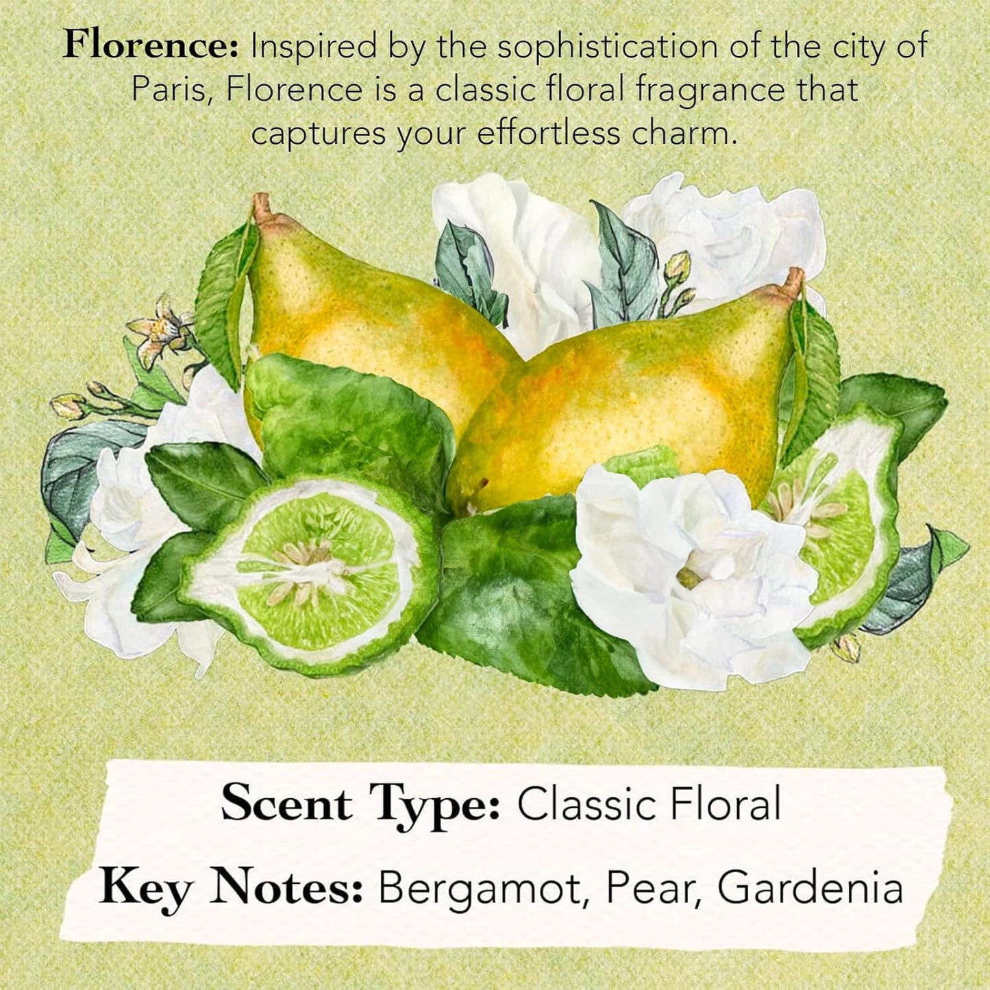 Tocca Women's Perfume Mini Discovery Sampler Set - 8 Unique Scents (1.5ml Each) | Cleopatra, Stella & More