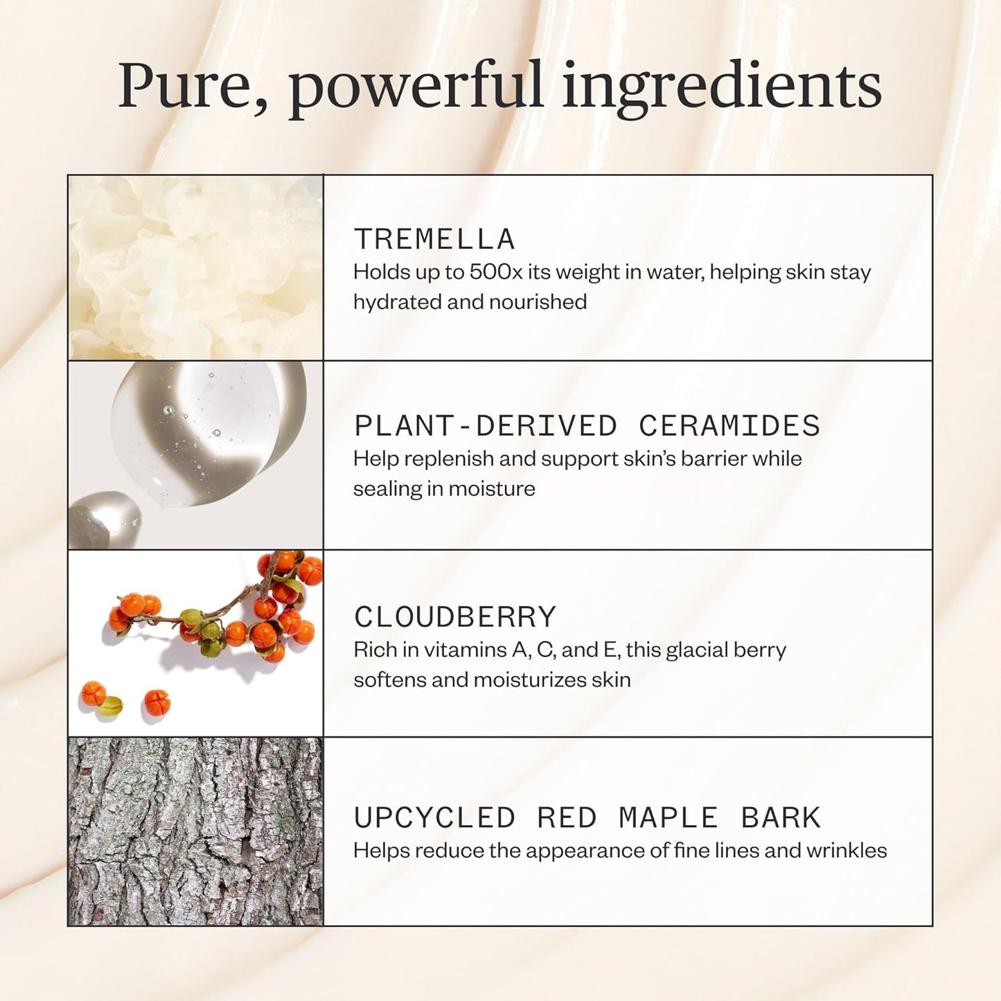 Ursa Major Alpine Rich Cream - Deeply Hydrating Natural Face Lotion | Supports Skin Barrier & Fine Lines | 1.69 oz