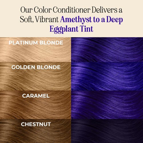 INH Semi Permanent Hair Color - Amethyst Dark Purple Tint | Vegan, No Bleach, 6oz Conditioner