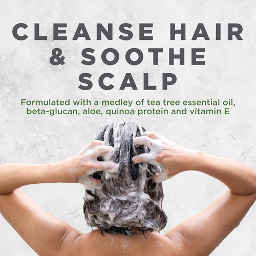 Avalon Organics Tea Tree Shampoo - Scalp Treatment for Healthy Hair & Softness | 11 Fl Oz