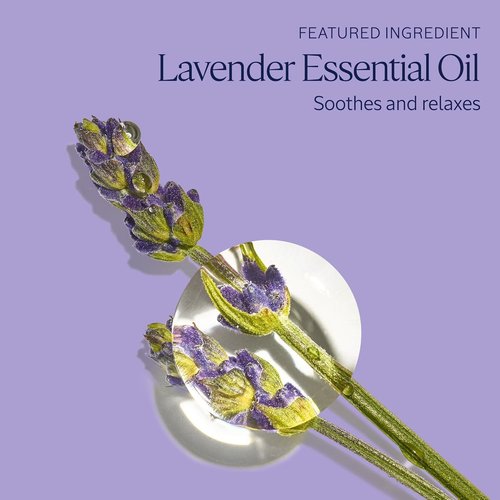 L'OCCITANE Foaming Bath - Relaxing Lavender & Comforting Shea | 16.9 Fl. Oz Cleansing Bubble Bath