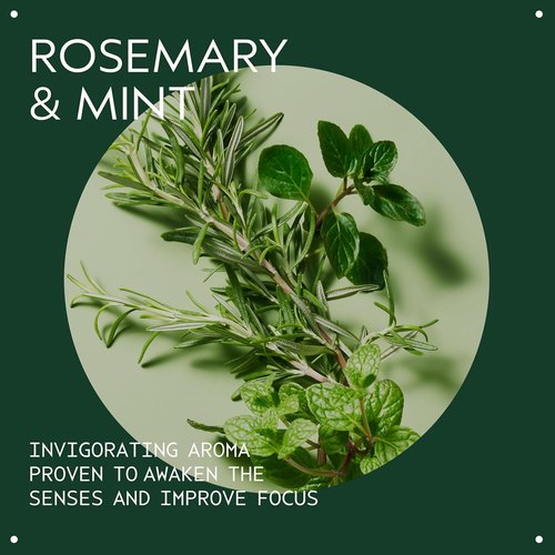 Aveda Rosemary Mint Hand & Body Wash - Invigorating Liquid Soap with Organic Peppermint & Rosemary Aroma