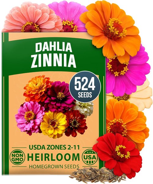 HOME GROWN Zinnia Dahlia Seeds - Non-GMO 524 Flower Seeds for Vibrant Pollinator Gardens | Easy-to-Grow Outdoor Blooms
