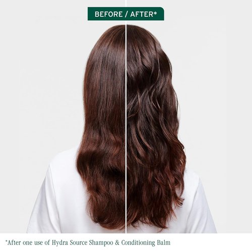 Biolage Hydra Source Leave-In Tonic - Moisturizes, Detangles & Protects Hair | Blowout Primer