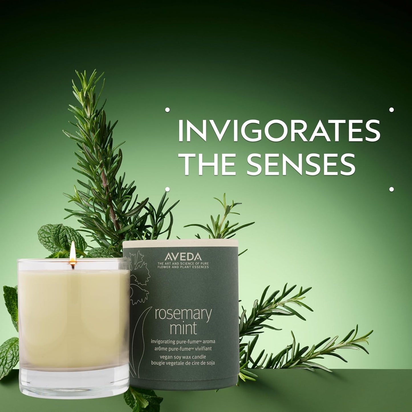 Aveda Rosemary Mint Candle - Invigorating Vegan Soy Wax with Organic Peppermint & Rosemary | 8 oz
