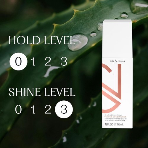 Regine Switzerland Volume Conditioner - Lightweight Formula for Fine, Color-Treated Hair | Hydrates & Adds Volume (12oz/355mL)