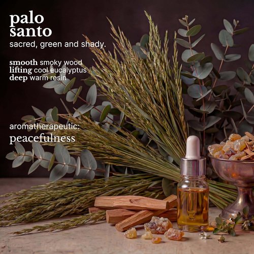 Red Flower Palo Santo Purifying Body Wash - Hydrating Botanical Shower Gel with Organic Extracts (10 oz)