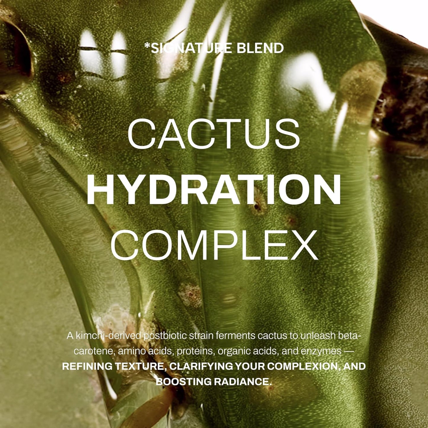 Whamisa Organic Cactus Bouncy Serum - 48 Hours Inner Skin Moisture | Hydrating Facial Ampoule (52ml)