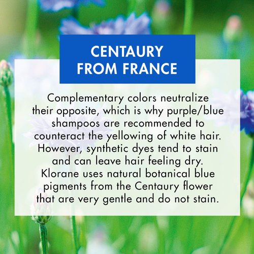 Klorane Shampoo with Centaury - Brightens Blonde & Gray Hair | Neutralizes Brassy Tones - 13.5 fl. oz.