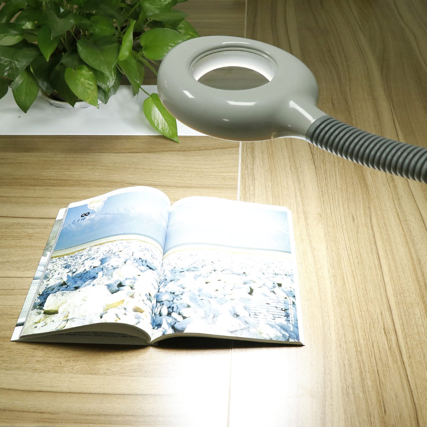 HomGarden Pro 2 in 1 Facial Steamer 5X LED Floor Magnifying Lamp UV Ozone Mist Face Steamer Salon Spa Beauty Skin Care Equipment