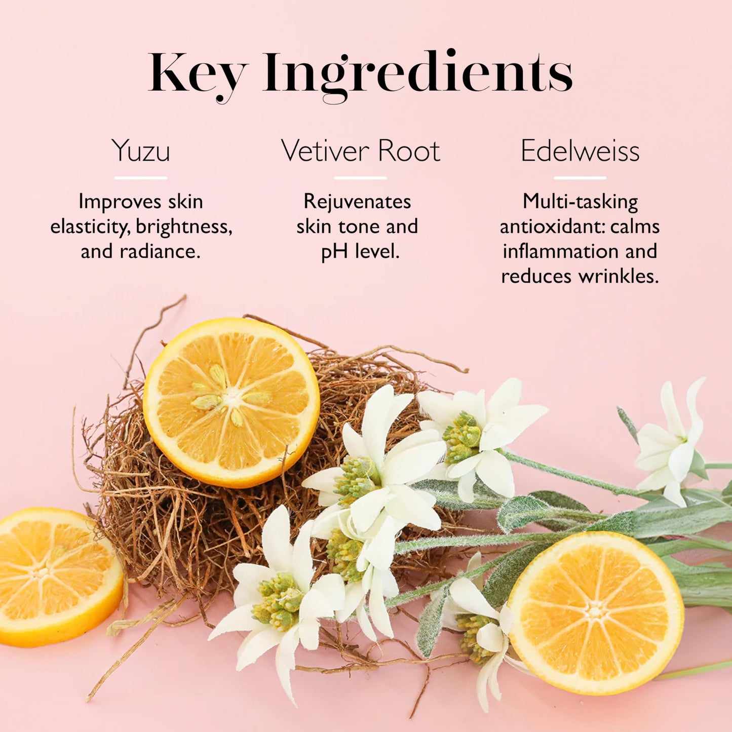 Spongelato Loofah Exfoliating Body Scrubber by Spongelle | Infused with Body Wash | Bath & Shower Loofah for Women | 14+ uses | Fior de Latte (Vanilla) Gelato Inspired