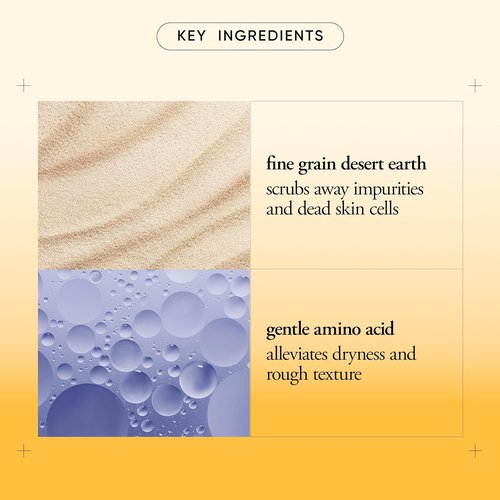 Philosophy Microdelivery Exfoliating Daily Facial Wash - Gentle Amino Acids & Fine Grain Desert Earth - Removes Impurities & Smooths Skin Texture