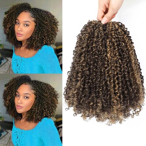 Aksice 10 Inch 8 Packs Yanky Twist Crochet Hair for Women Pre-looped Mini Twist Hair Bohemian Passion Twist Crochet Hair Boho Crochet Braids Synthetic (4H27)