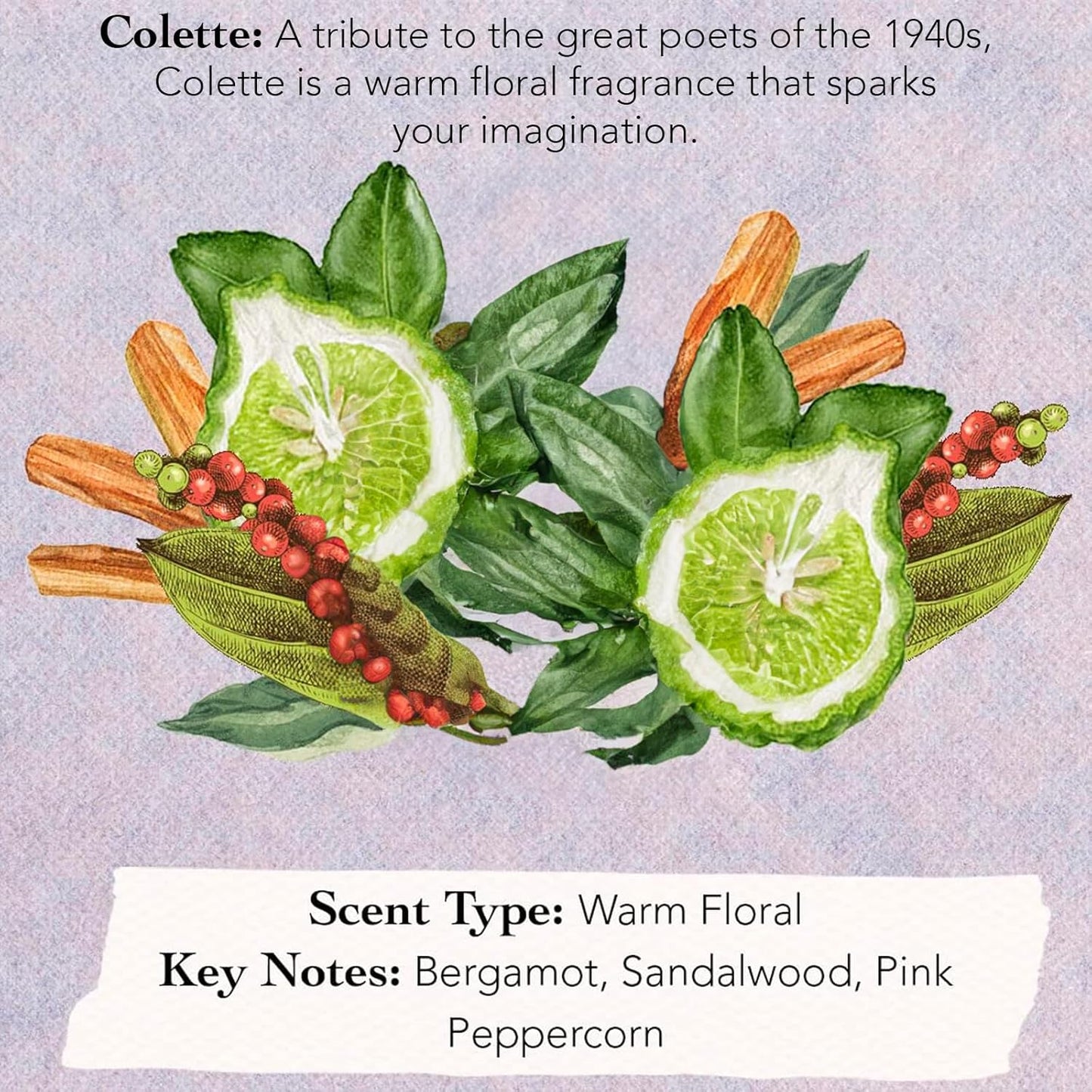 Tocca Women's Perfume Mini Discovery Sampler Set - 8 Unique Scents (1.5ml Each) | Cleopatra, Stella & More