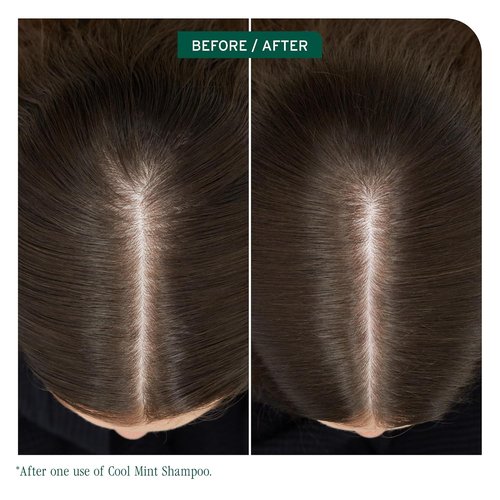 Biolage Cool Mint Shampoo - Refreshing Balancing Shampoo for Oily Scalp, Vegan & Paraben-Free
