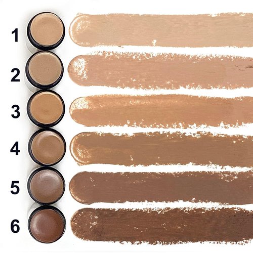 Regine Switzerland Concealer - Multi-Use Dark Circle Corrector for Under Eyes | Shade 2 of 6