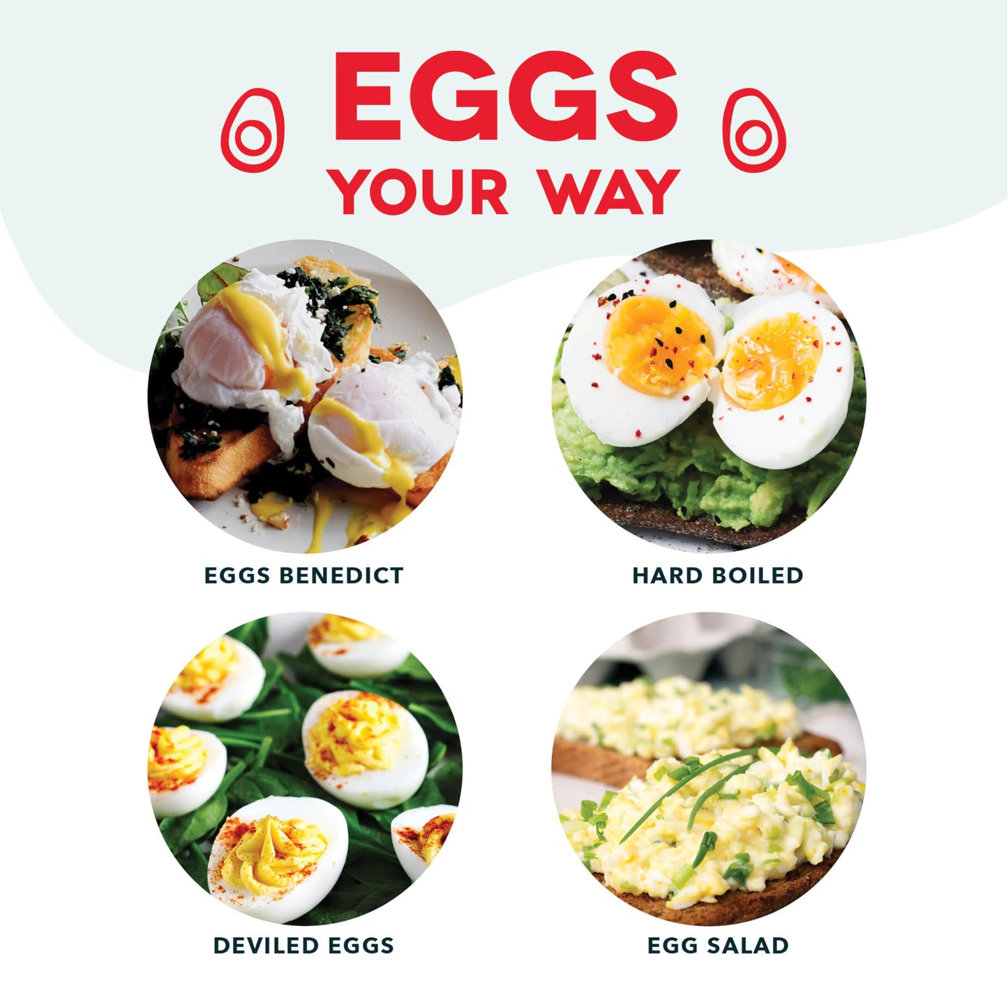 Dash Rapid Egg Cooker - Boiler, Poacher & Steamer - Includes Measuring & Recipe Guide - Dishwasher Safe - Holds 7 Eggs, Black