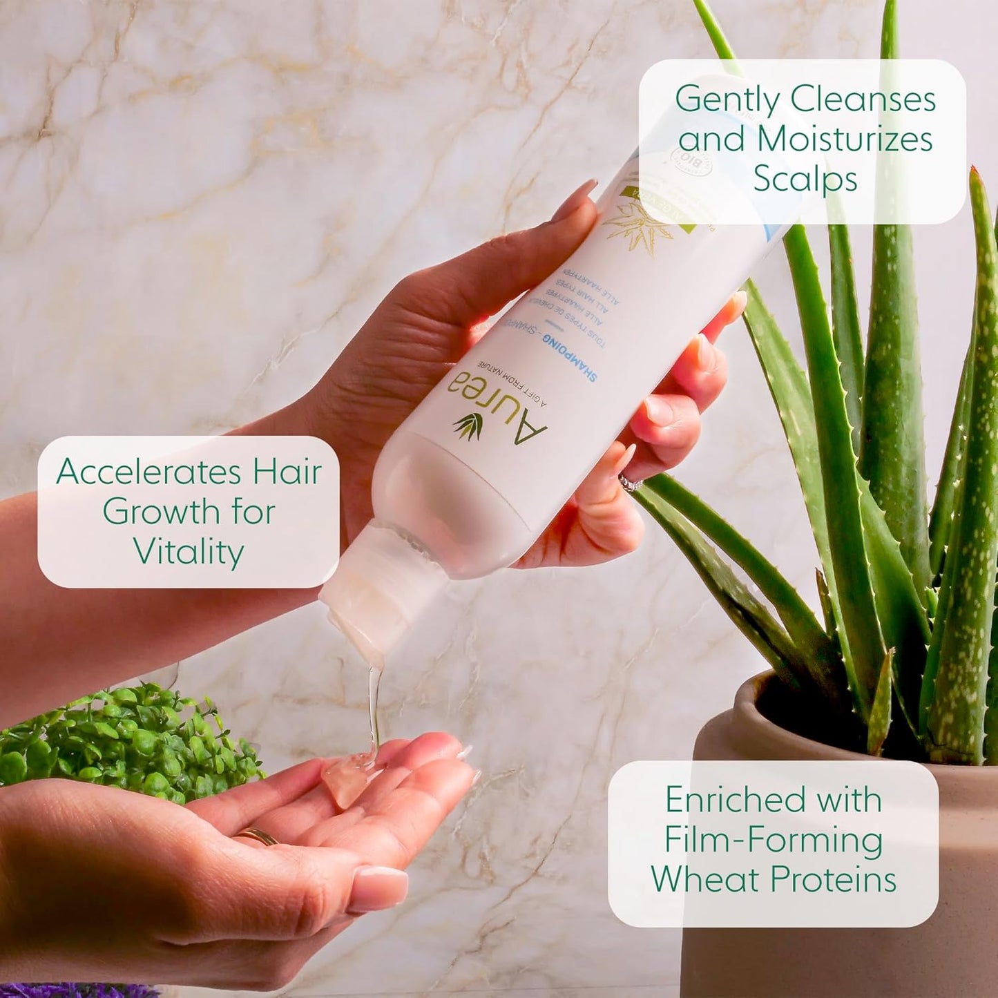 Aurea Aloe Vera Shampoo - Moisturizes & Soothes Hair - Restores Volume & Accelerates Growth - 8.4 Oz