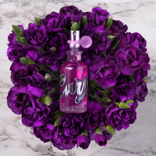Curve Women's Perfume Fragrance, Casual Day or Night Scent, Curve Crush, 1.7 Fl Oz