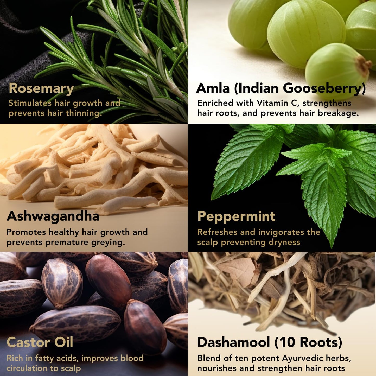 Indian Ayurveda Hair Growth Oil by Secrets of Veda | Rosemary, Amla, Ashwagandha, Castor | Strengthens Hair, Nourishes Split Ends & Dry Scalp