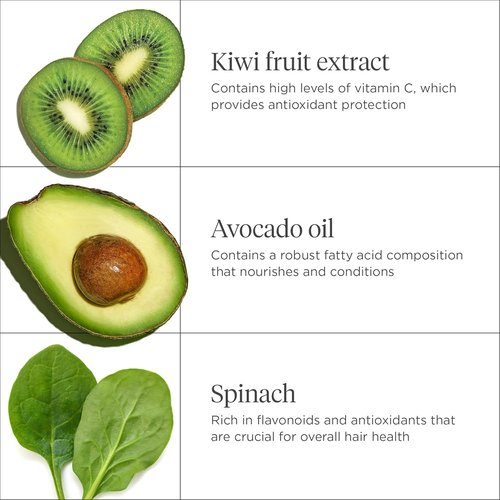 Briogeo Superfoods Avocado + Kiwi Mega Moisture Hair Mask - Protein-Free Deep Conditioning Treatment for Dry, Damaged Hair | Vegan & Cruelty-Free